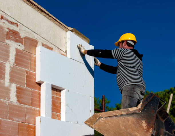 Best Eco-Friendly Insulation in Lake Vla, IL