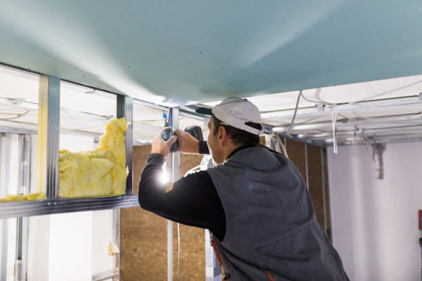 Best Geographic-Specific Insulation Services in Lake Vla, IL