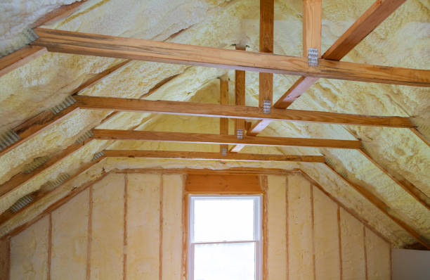 Best Residential Insulation in Lake Vla, IL