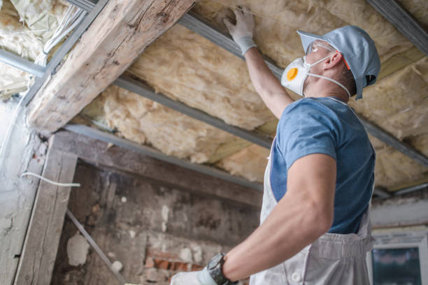  Lake Vla, IL Insulation Contractor Pros