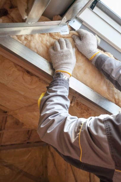 Best DIY Insulation Kits and Guidance in Lake Vla, IL