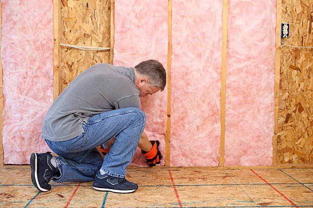 Best Blown-in Insulation in Lake Vla, IL