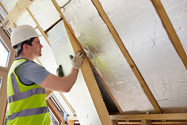 Best Fiberglass Insulation in Lake Vla, IL