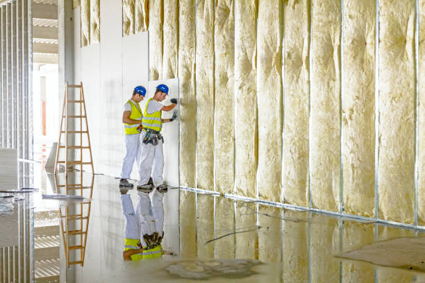 Best Insulation for Specific Applications in Lake Vla, IL